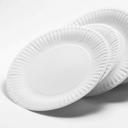 Containers, Plates & Cutlery