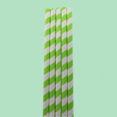 Paper Smoothie Straws 230mm x 9mm (200)