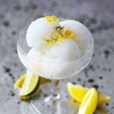 Rossi Gin and Tonic Sorbet Napoli 5ltr 
