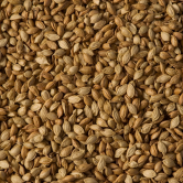 Coriander Seeds 750g