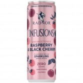 Radnor Raspberry & Black Cherry Sparking Water 12 x 300ml